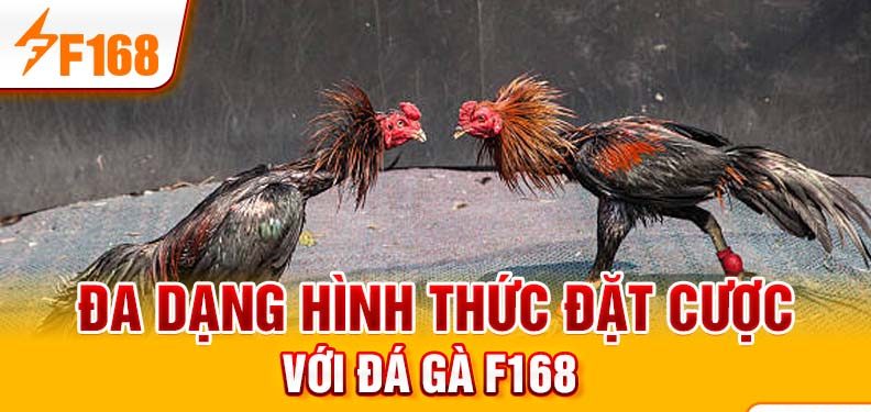 Đa dạng hình thức đặt cược với đá gà F168 Đa dạng hình thức đặt cược với đá gà F168