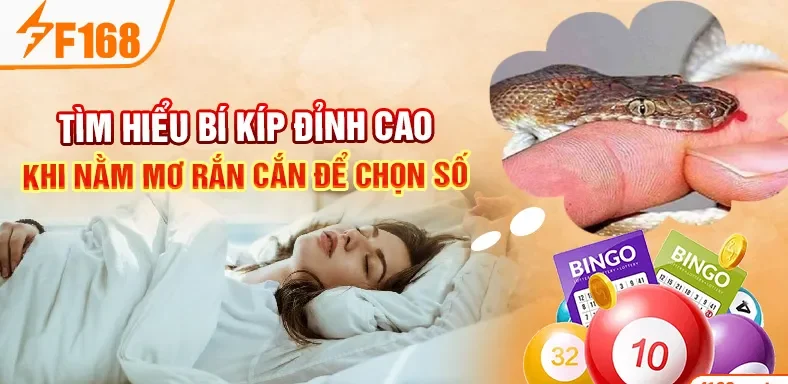 Tìm hiểu bí kíp đỉnh cao khi nằm mơ rắn cắn để chọn số