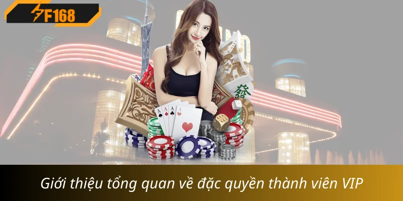 Giới  thiệu tổng quan về đặc quyền thành viên  VIP